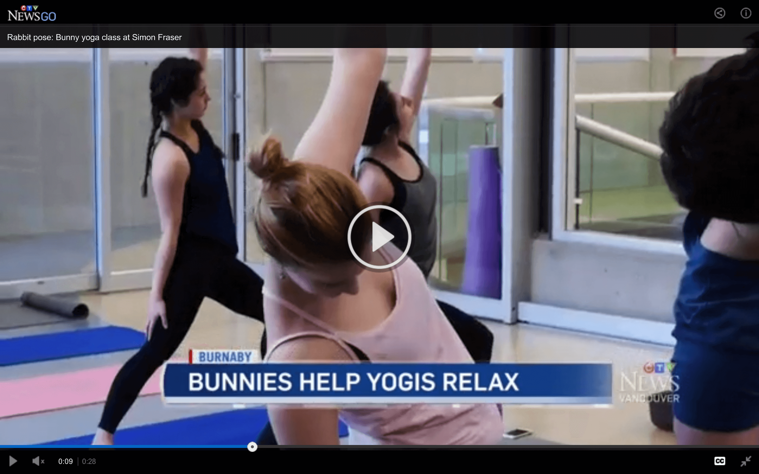 bunny-yoga news coverage